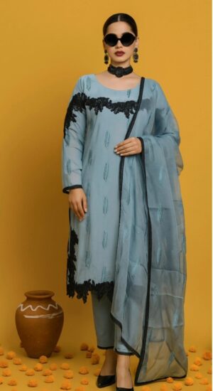 Party wear straight embroidery suit
