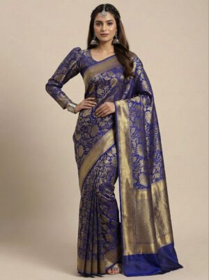 Luxury Banarasi Inspired Saree with Rich Border